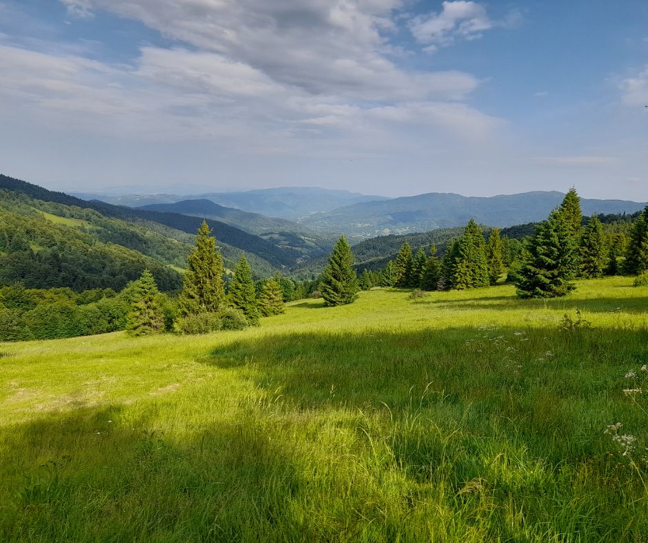 Gorce Living Lab: Przyroda - Ludzie - Przyszłość